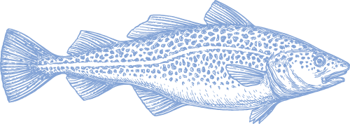 Fiskillustration